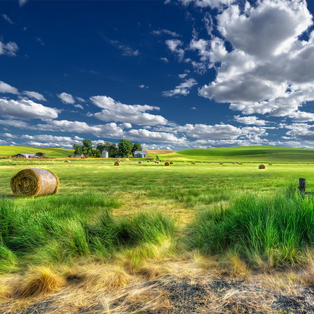 Landschaft, Wiese, Strohballen, grünes Feld, blauer Himmel