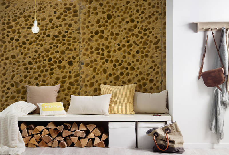             Organische Struktur Vliestapete – Fototapete in realistischer Schwamm Optik – Braun, Schwarz
        