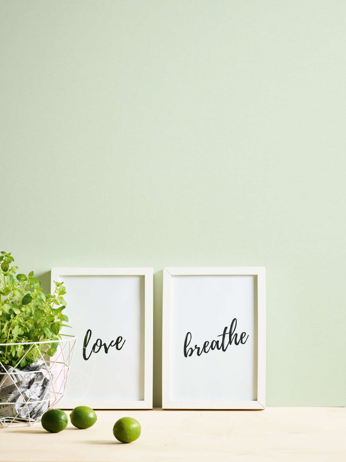 Zitrusfrucht, Obst, Limette, Pflanze, Produzieren