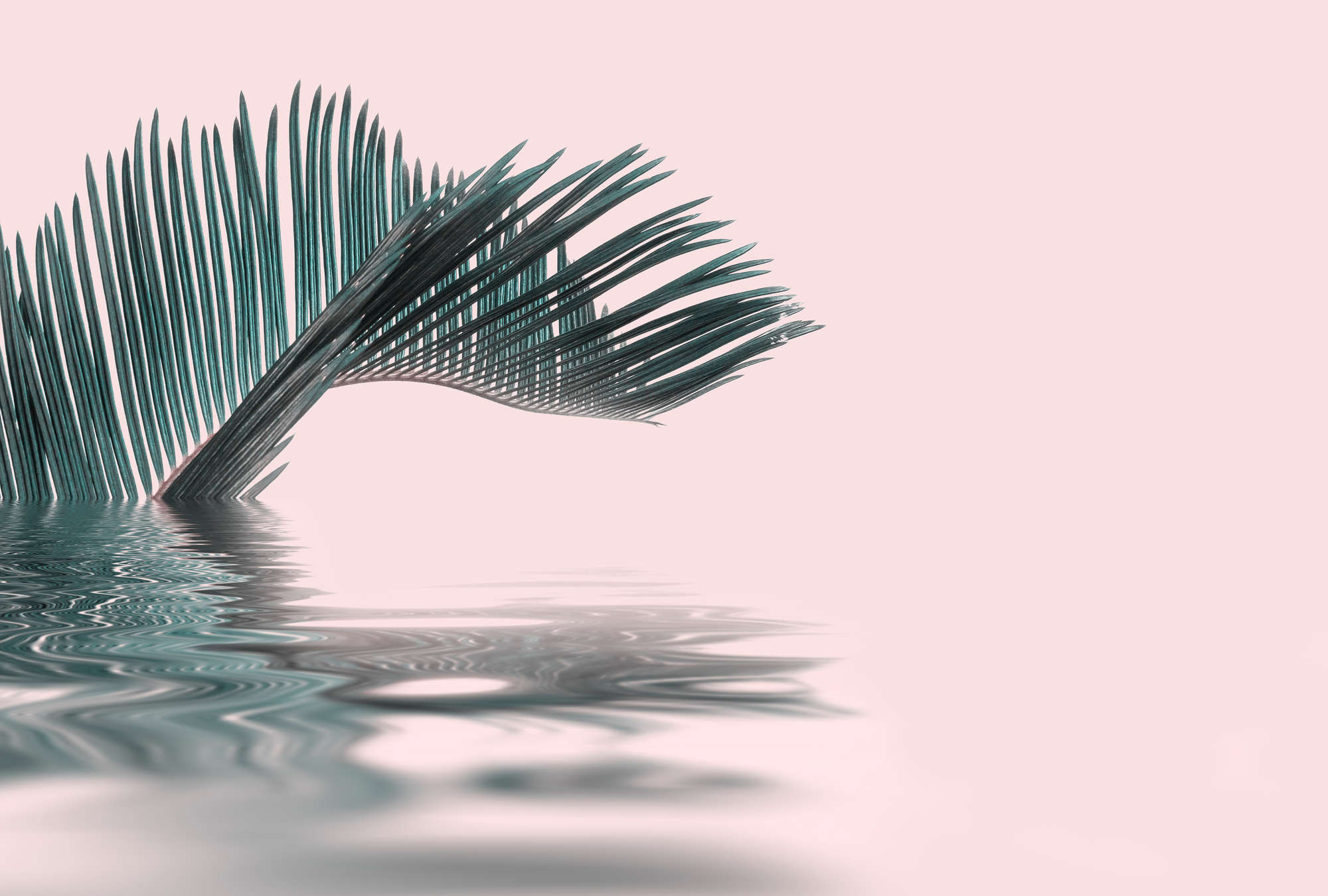 Palmblatt, Fächerblatt, Grün, Wasserreflexion, minimalistische Kunst