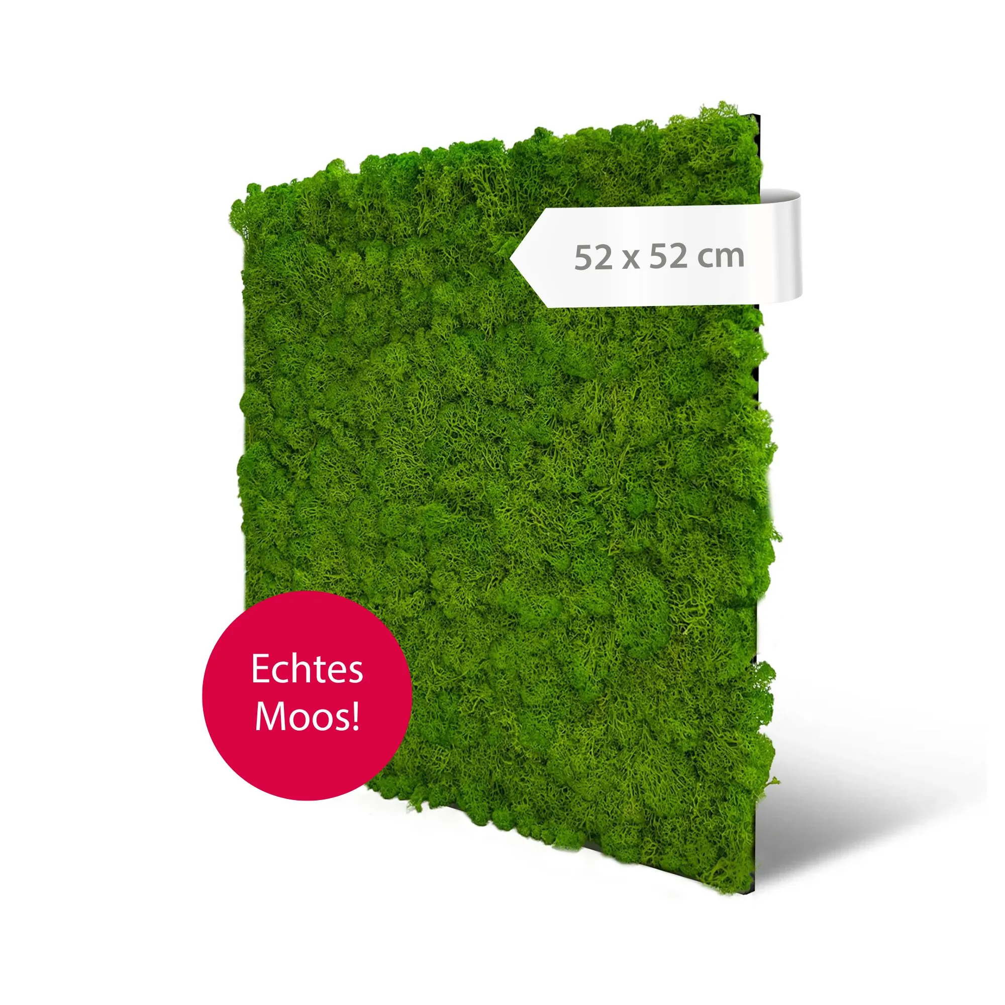Wall panels with real moss in bright green, 52 x 52 cm