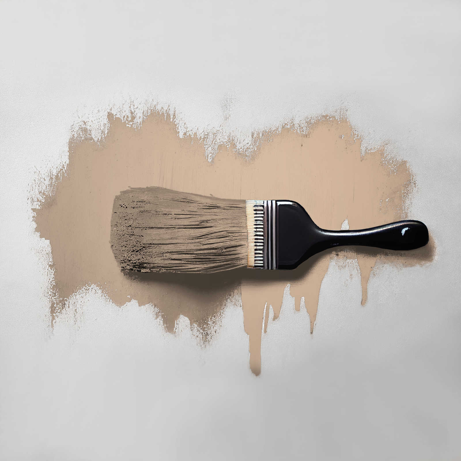 Pinsel, Malerei, Farbauftrag, Beige Wandfarbe, Schwarzgriff Pinsel