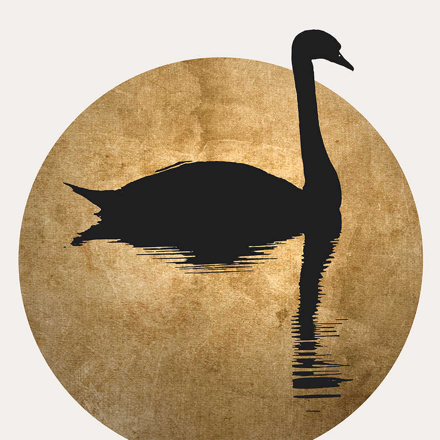 Schwan, Silhouette, Kreis, Wasserreflexion, Tier