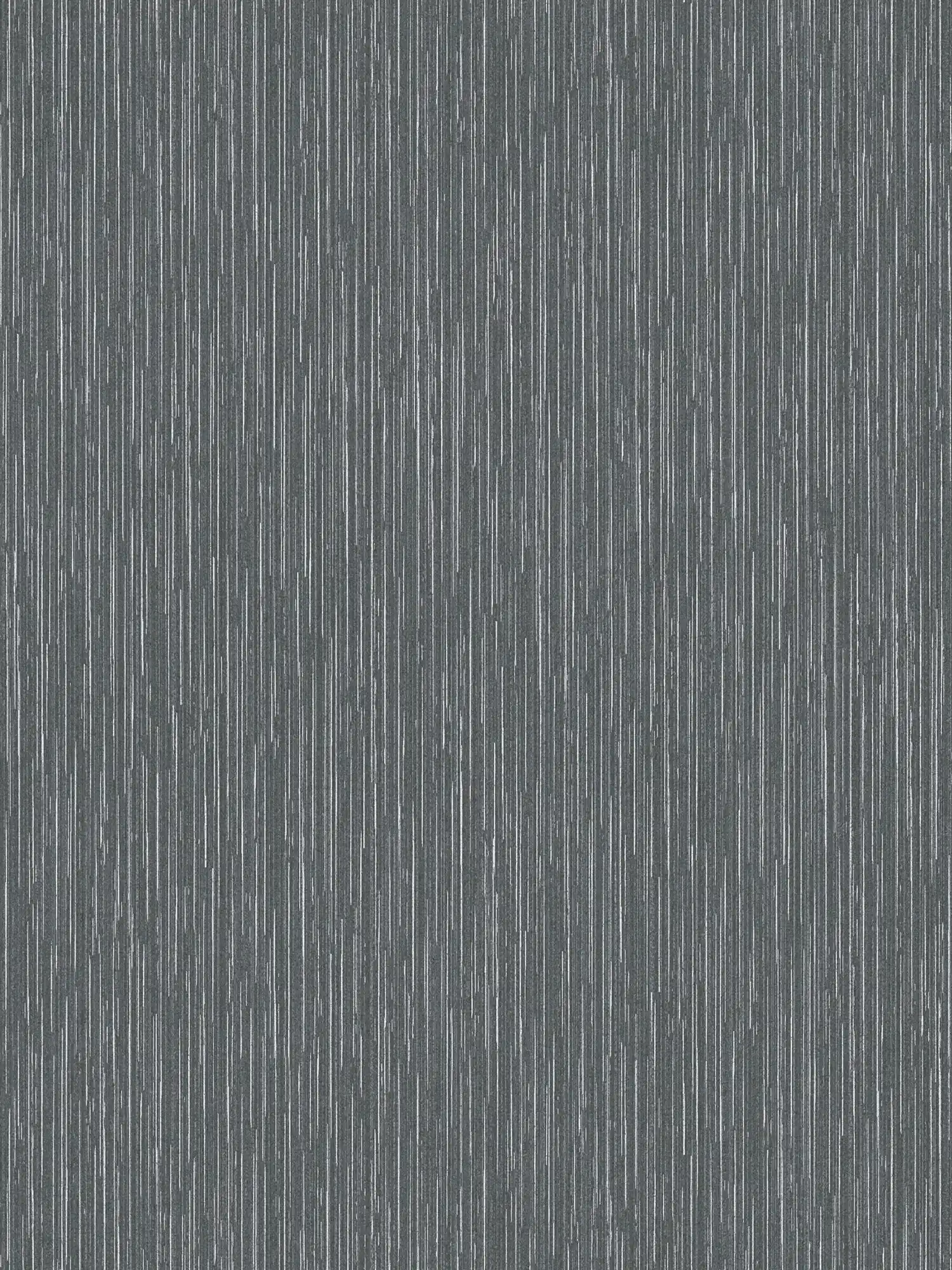         Anthracite wallpaper with silver accents & line design - black, metallic
    