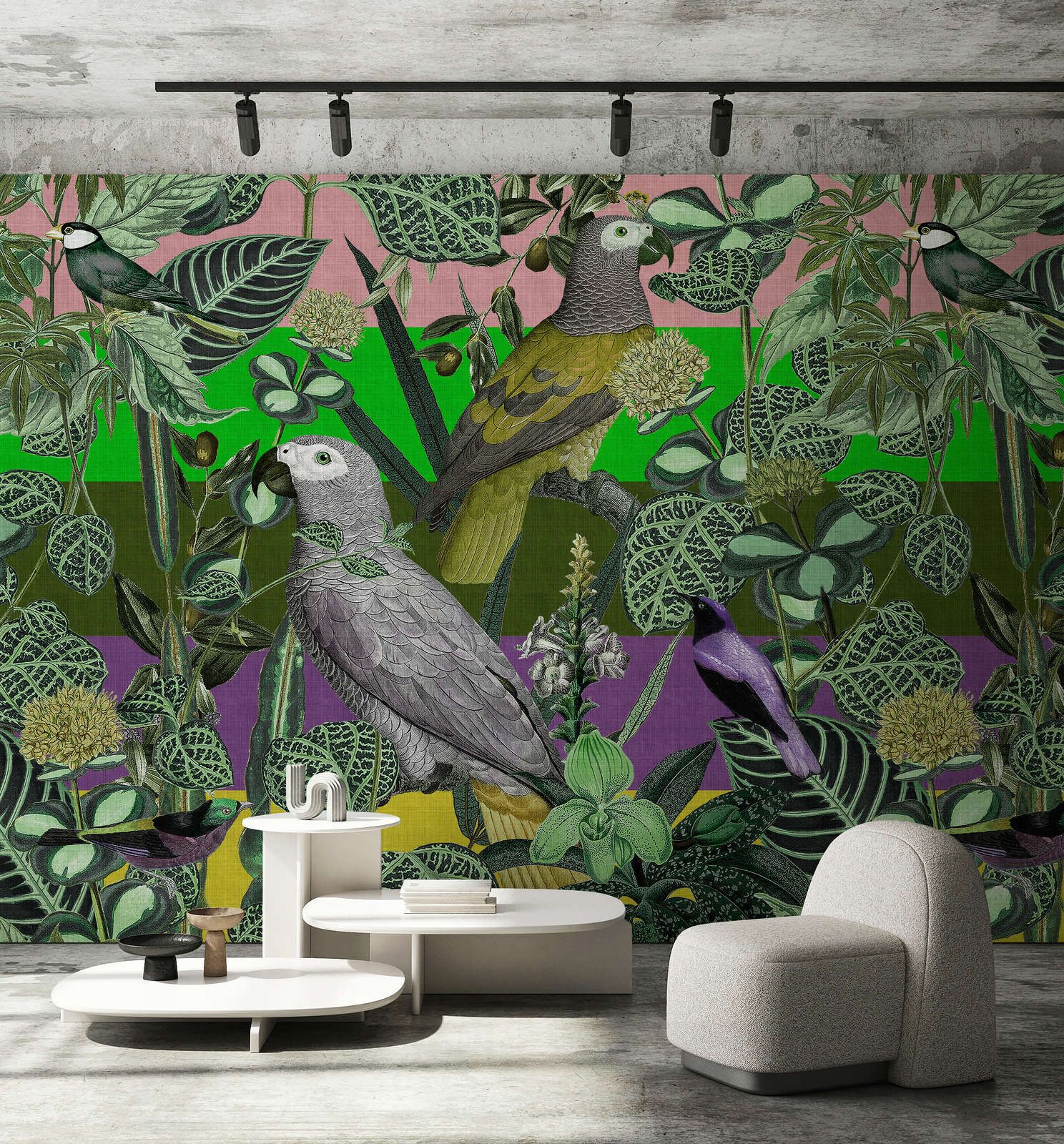 papier peint en papier panoramique »amazona 2« - Oiseaux exotiques ...