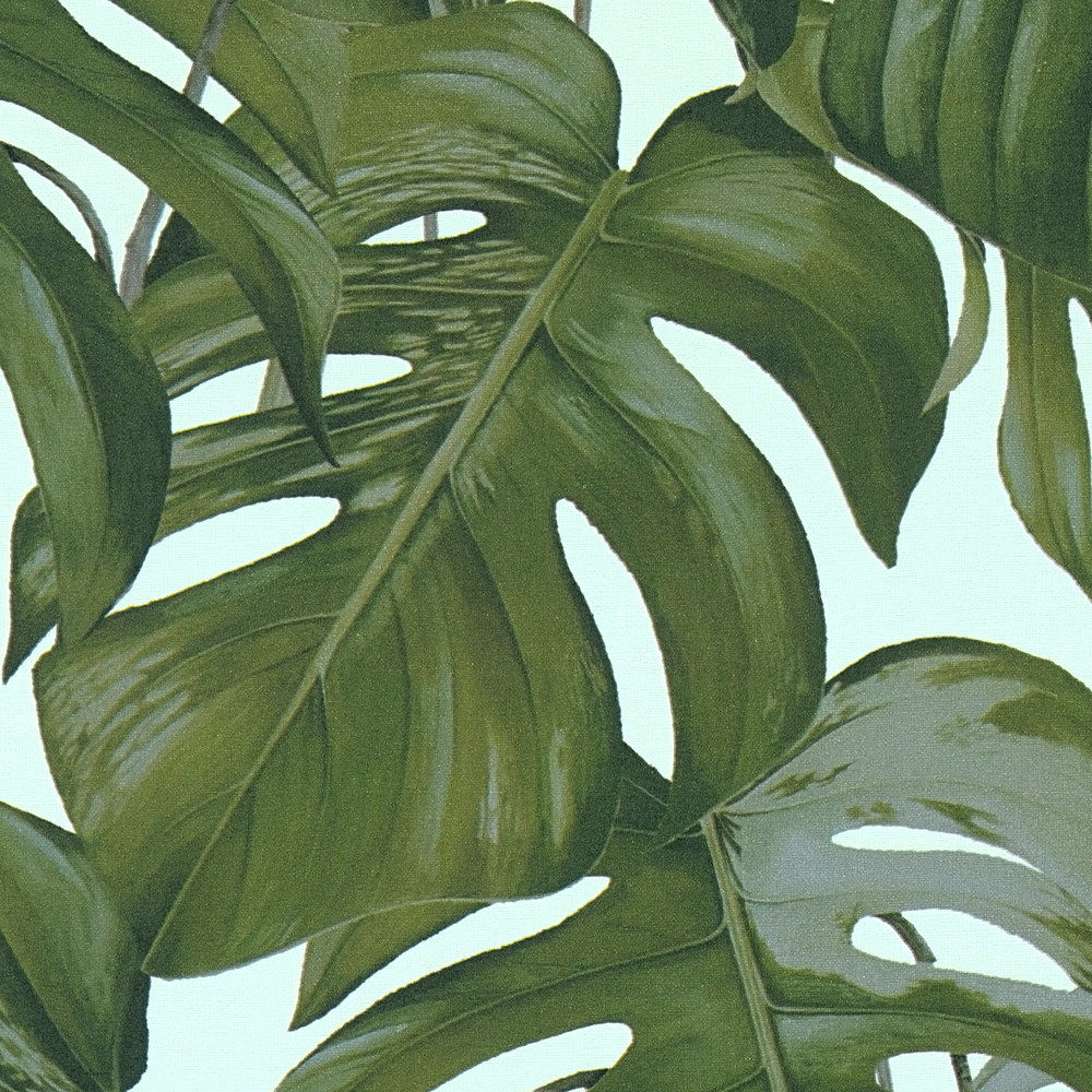             Blätter Tapete mit Monstera Muster von MICHALSKY – Grün
        