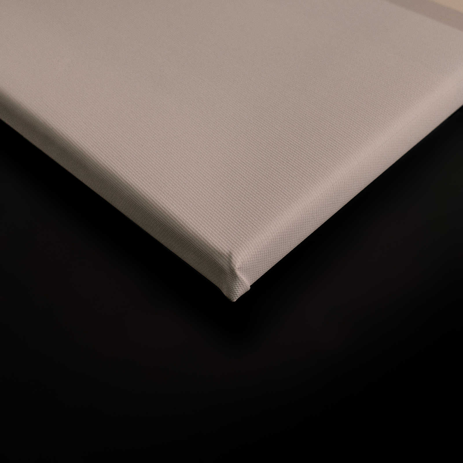 Behind the Wall 2 - 3D Leinwandbild Apricot mit Illusion Effekt – 0,90 m x 0,60 m
