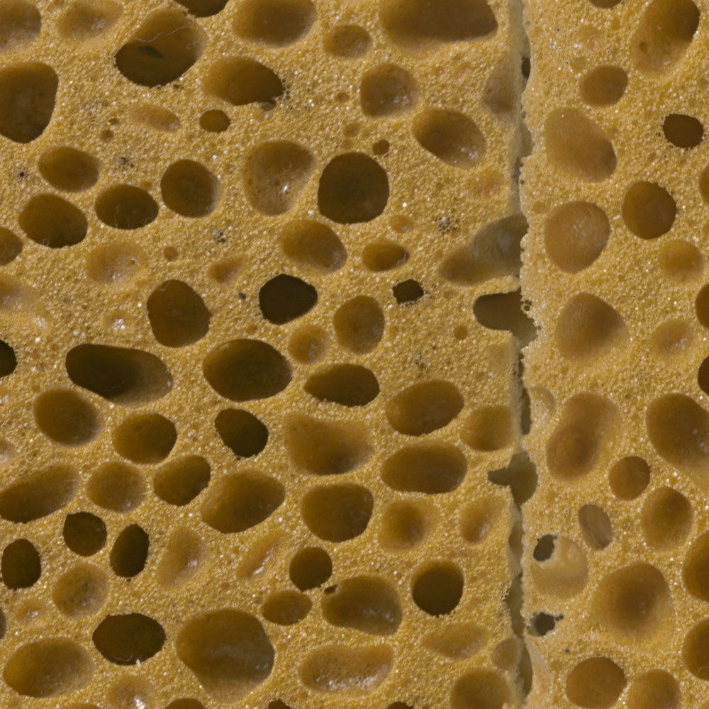             Organische Struktur Vliestapete – Fototapete in realistischer Schwamm Optik – Braun, Schwarz
        