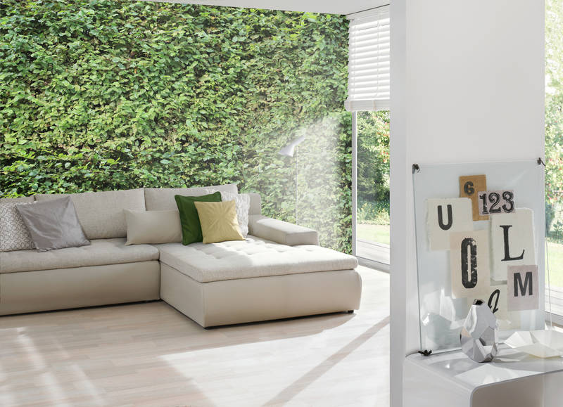             Fototapete grüne Hecke Blätter Dickicht mit 3D Effekt
        