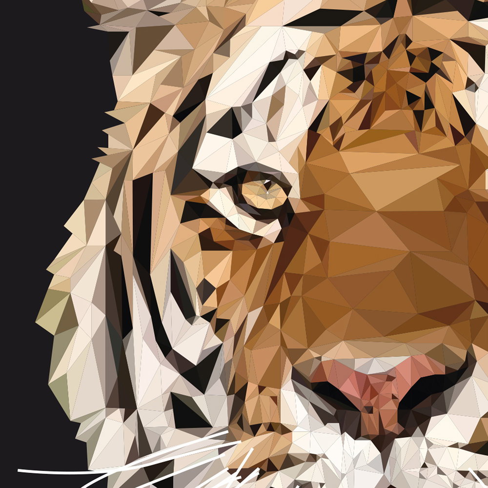 Tiger, Augen, Gesicht, Muster, Geometrisch