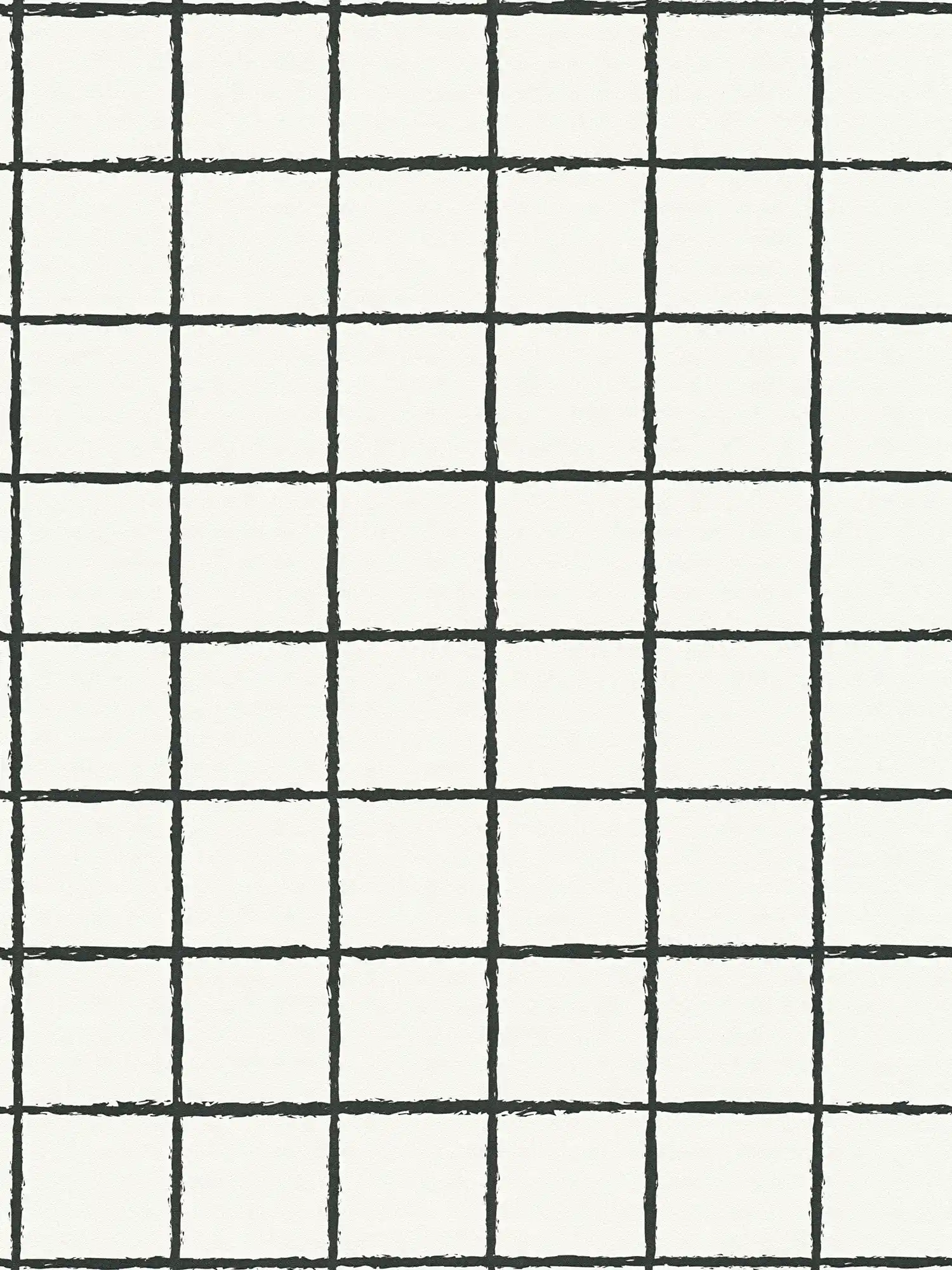         Vliesbehang met getekend ruitpatroon - zwart en wit
    