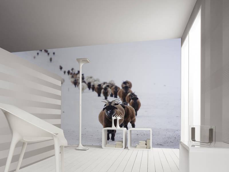             Kathedrale – Fototapete Metropole & Architektur
        