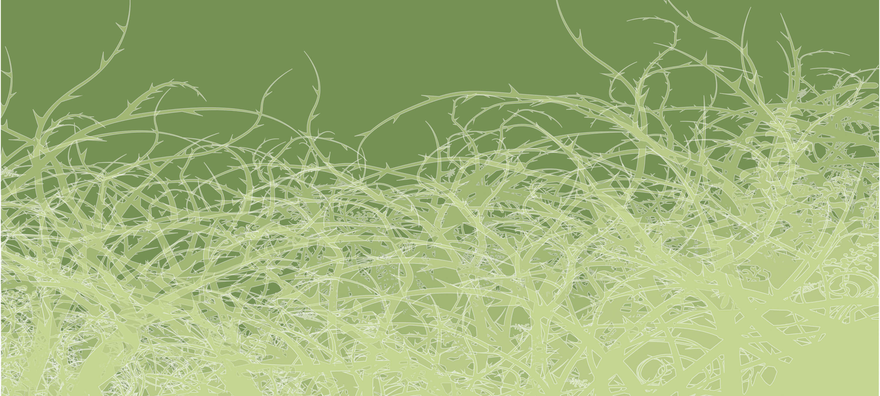 Gras, Pflanze, Grün, Moos, Textur