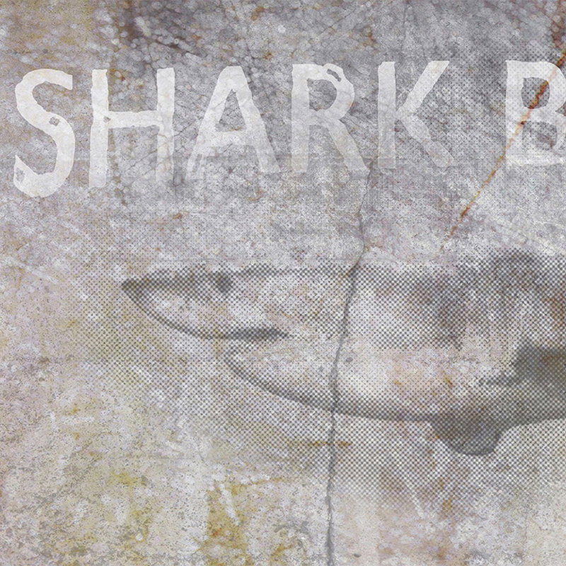 Shark, Poster, Graffiti, Stone, Hand