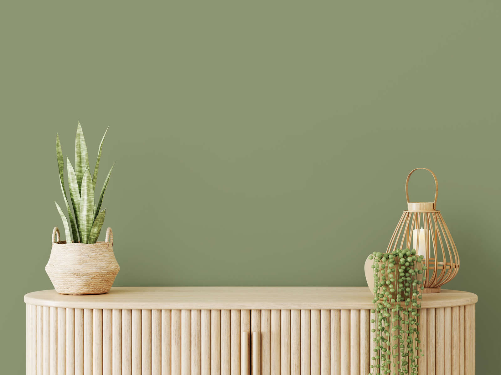 Pflanze, Pflanze im Topf, Krug, Pflanzgefäß, Innenarchitektur