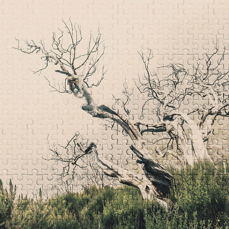 Pflanze, Baum, Kunst, Malerei