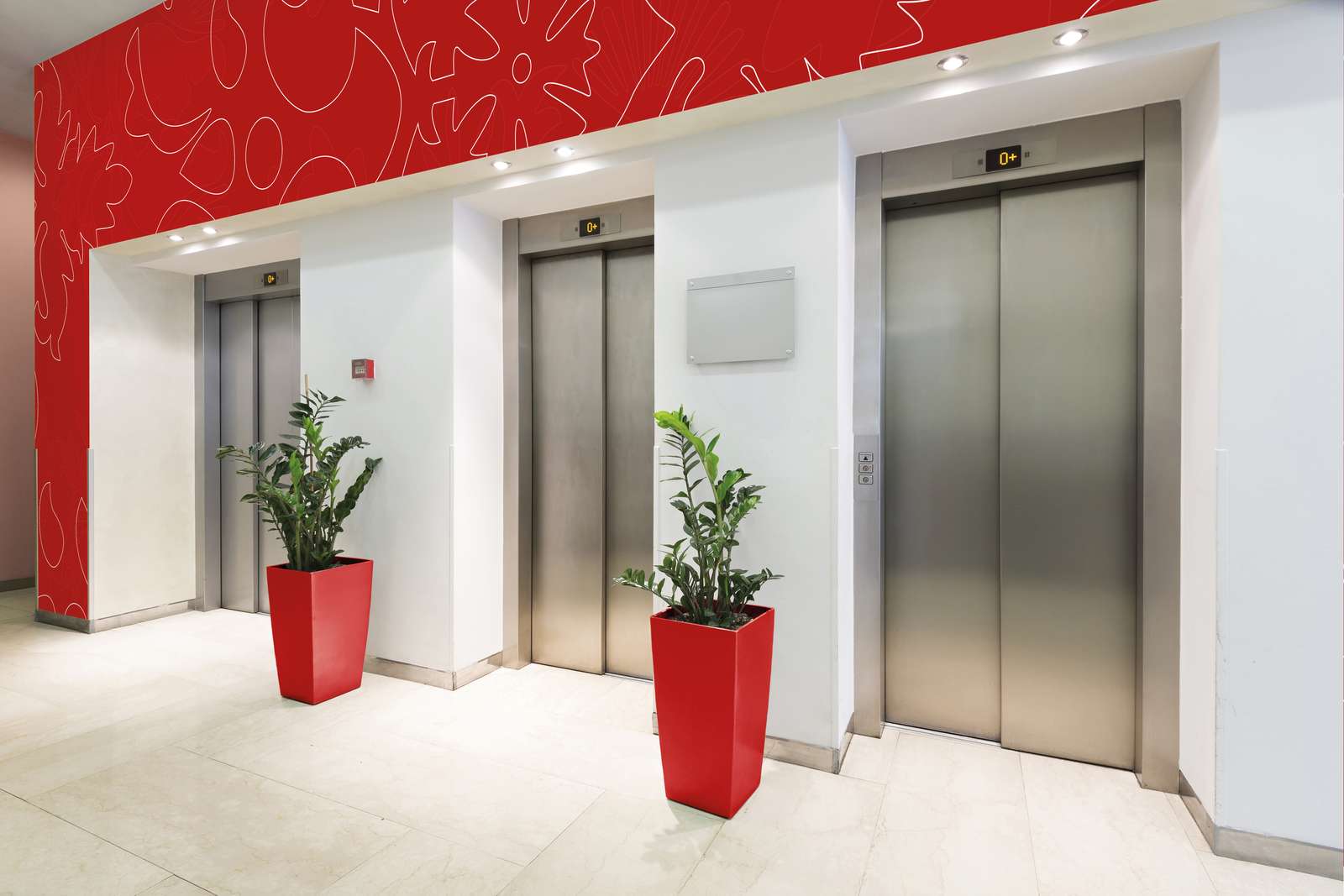 Drinnen, Innenarchitektur, Pflanze, Aufzug