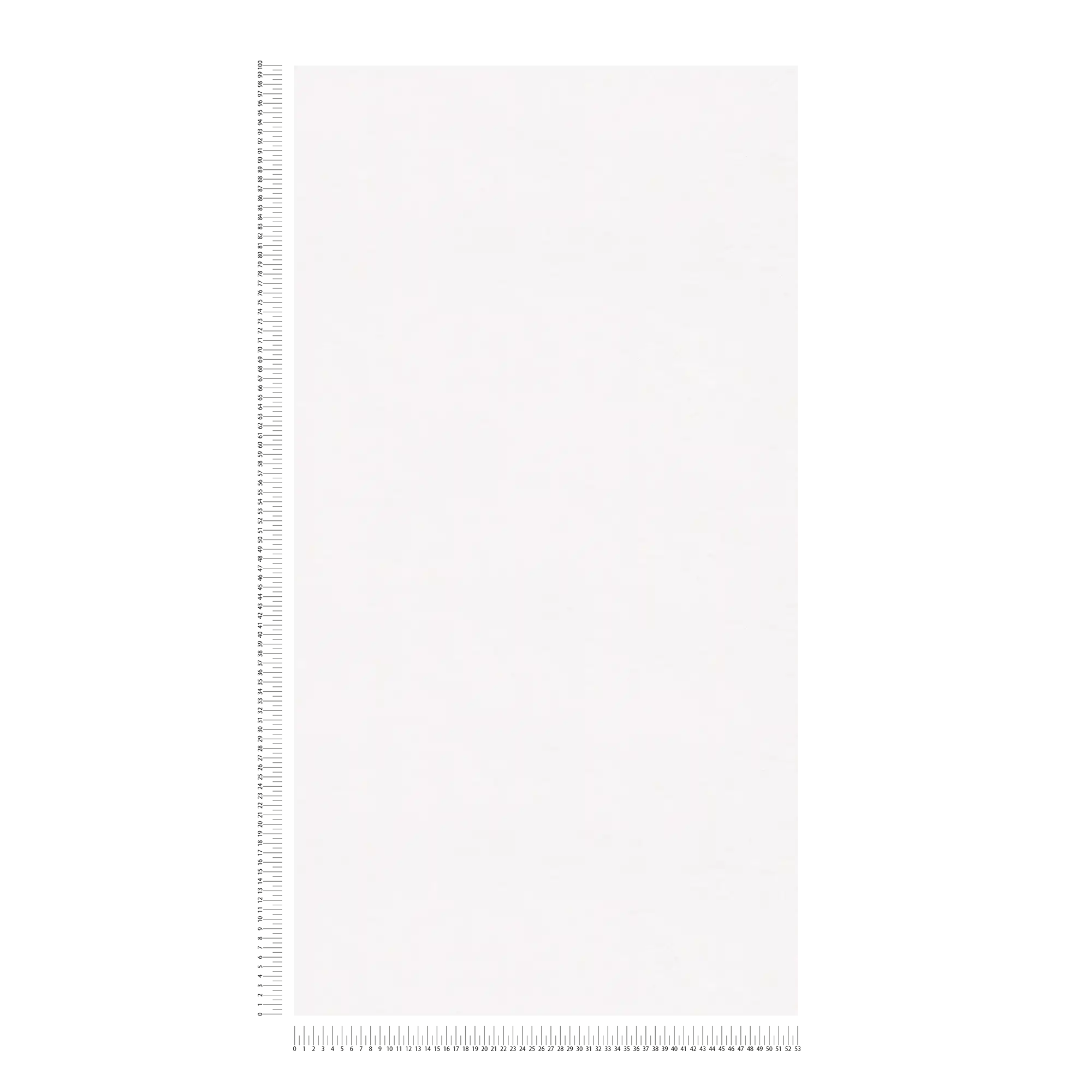 Meistervlies Tapete überstreichbar 130g/m² | 0,53 x 10,05m | 5,3m²