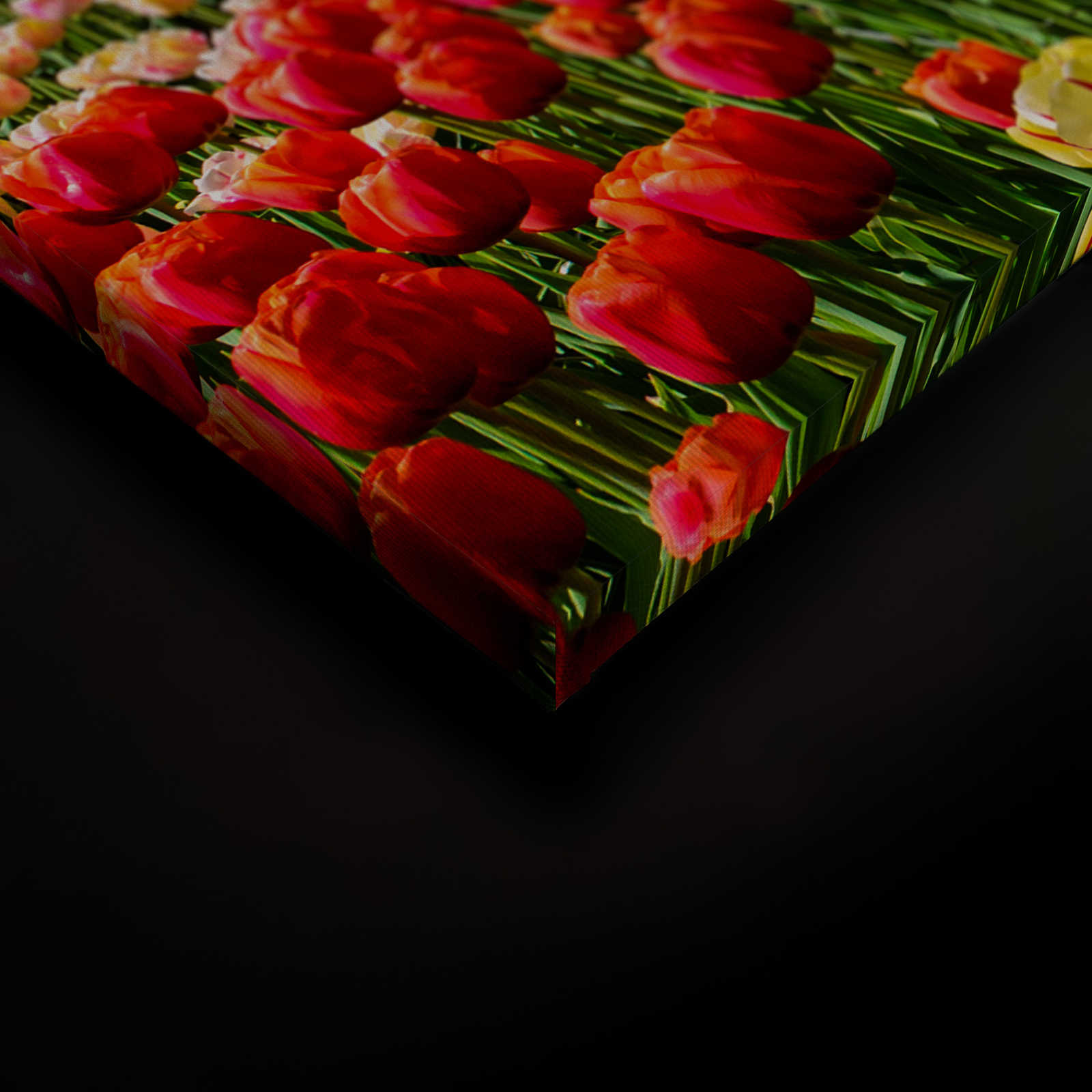             Leinwand Holland Tulpen & Windrad – 0,90 m x 0,60 m
        