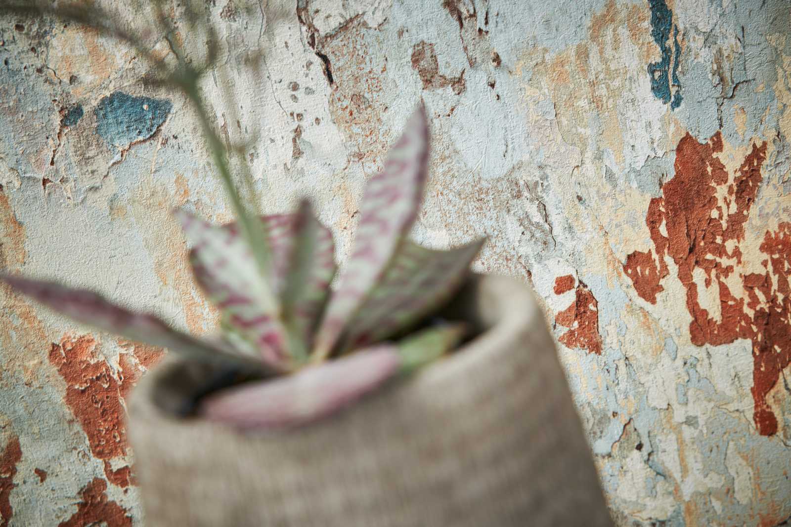             Rustikale Vliestapete mit Putzoptik im Used Look – Braun, Grau, Grün
        