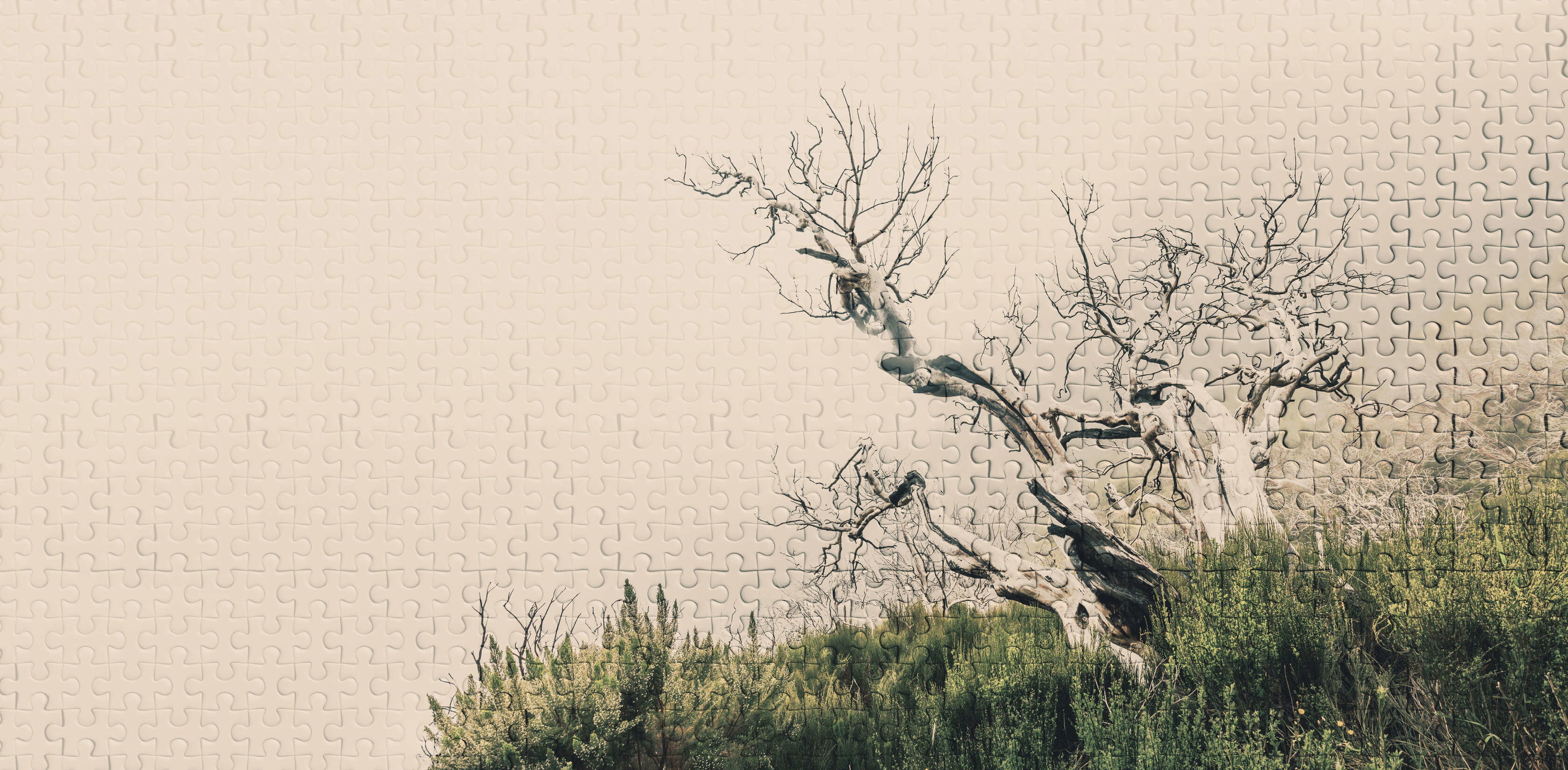 Baum, Baumstamm, Kunst, Malerei, Mauer