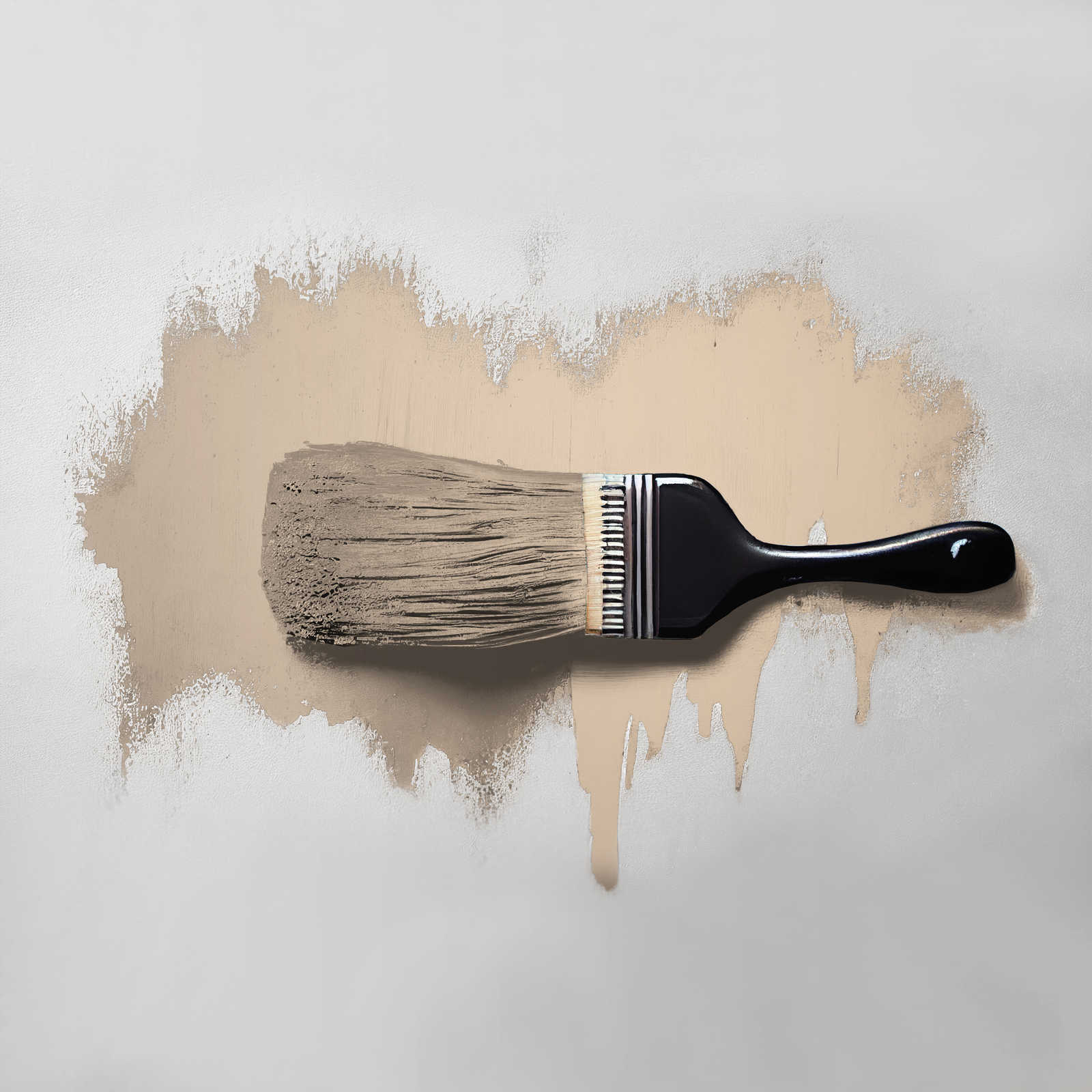 Pinsel, Beige Farbe, Malgrund, Kunstbedarf, Farbauftrag