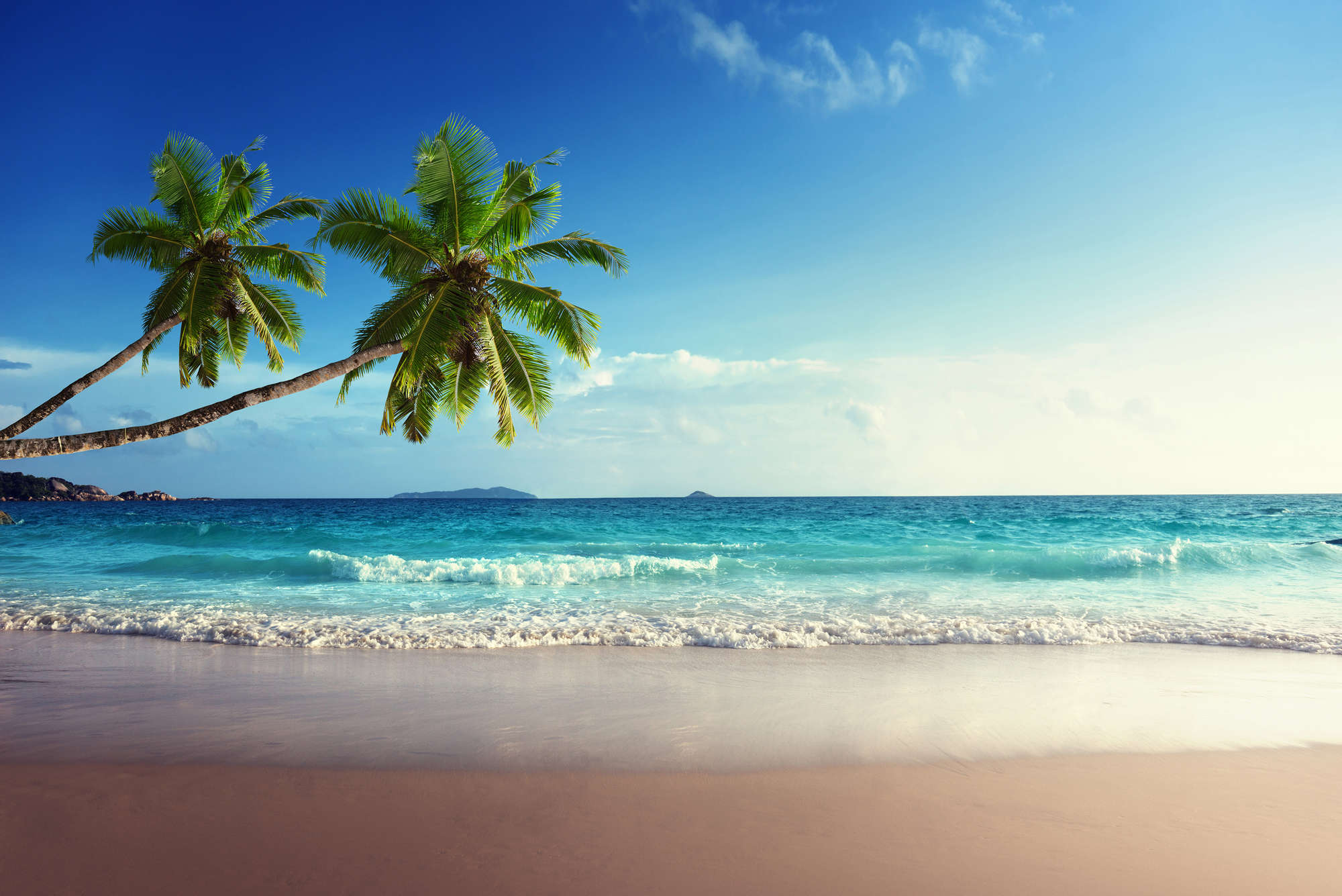 strand, palmen, meer, sonnige küste, tropische landschaft