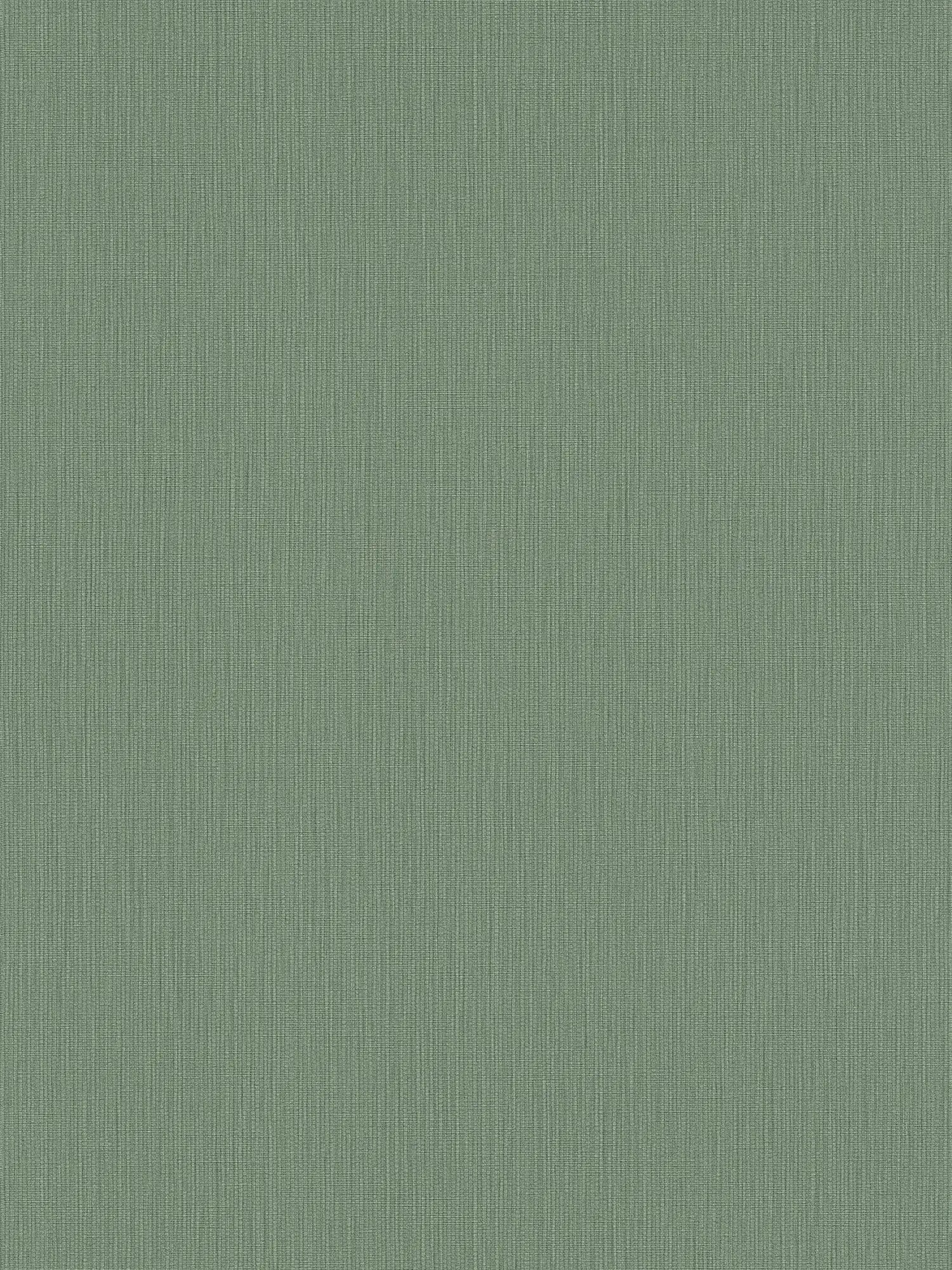             MICHALSKY Vliestapete einfarbig mit Gewebeästhetik – Grün
        