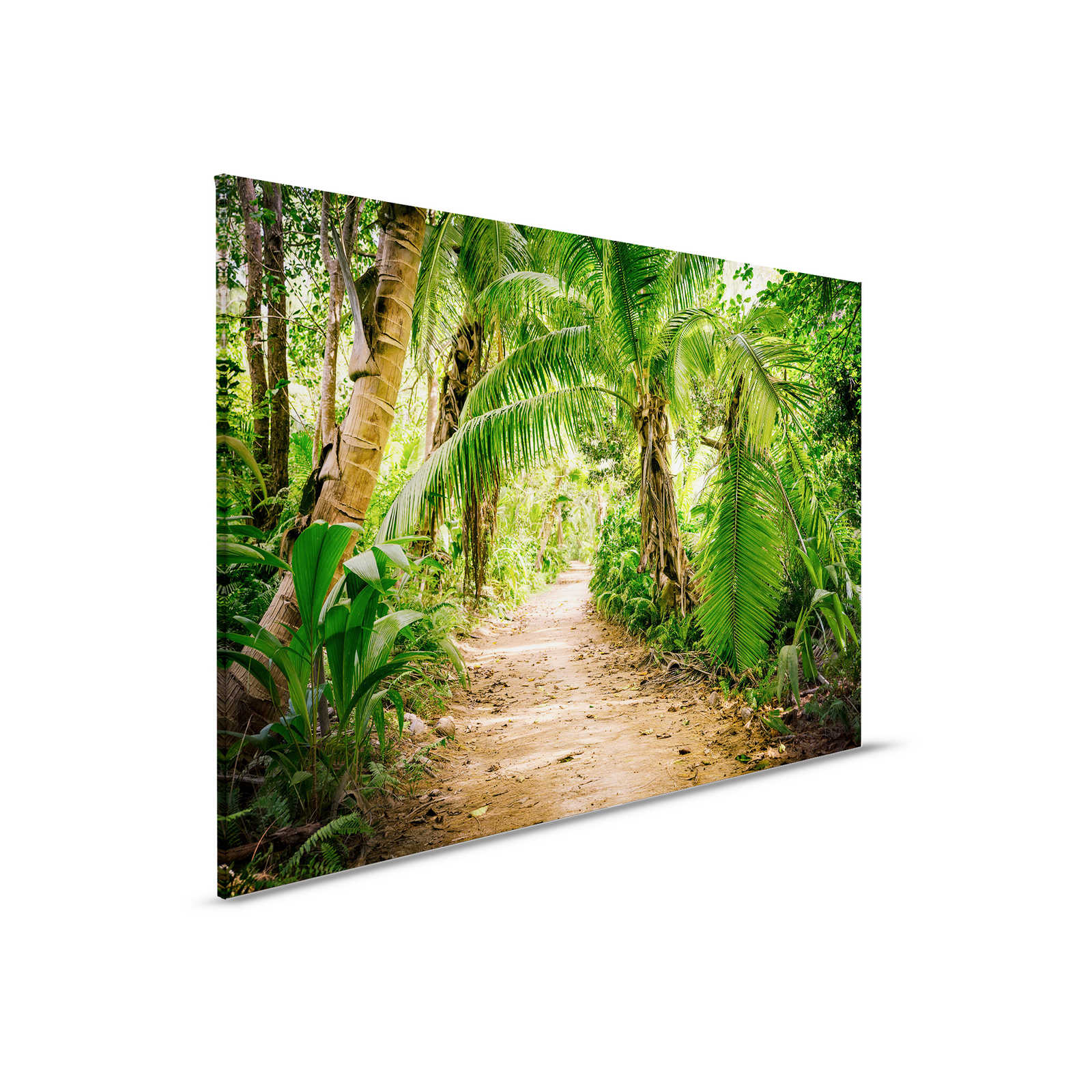         Canvas met palmbomenpad door een tropisch landschap - 0,90 m x 0,60 m
    