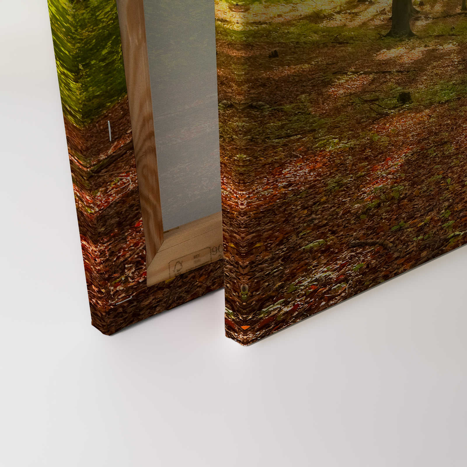            Laubwald Leinwandbild Landschaft am Morgen – 0,90 m x 0,60 m
        