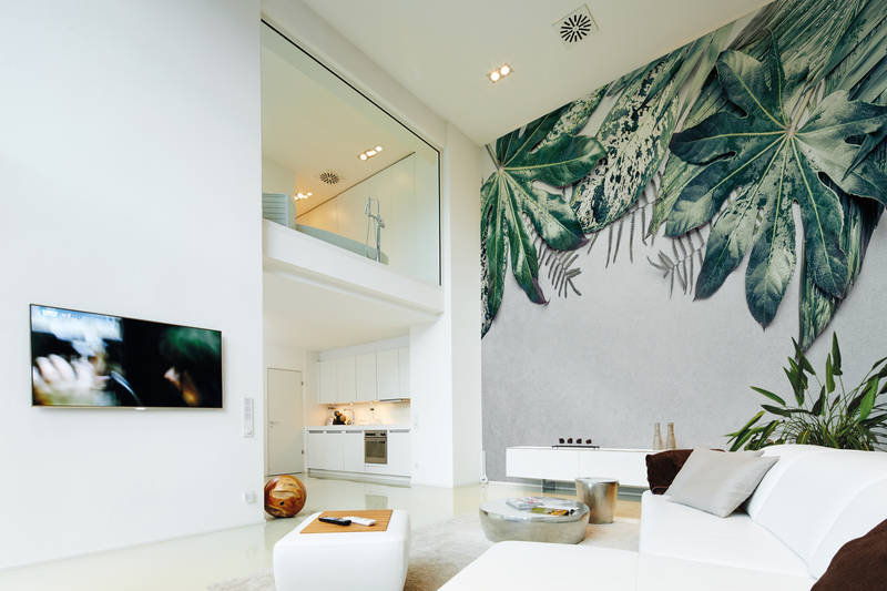             Fototapete Hängegarten Monstera Blätter – Blau, Grün
        