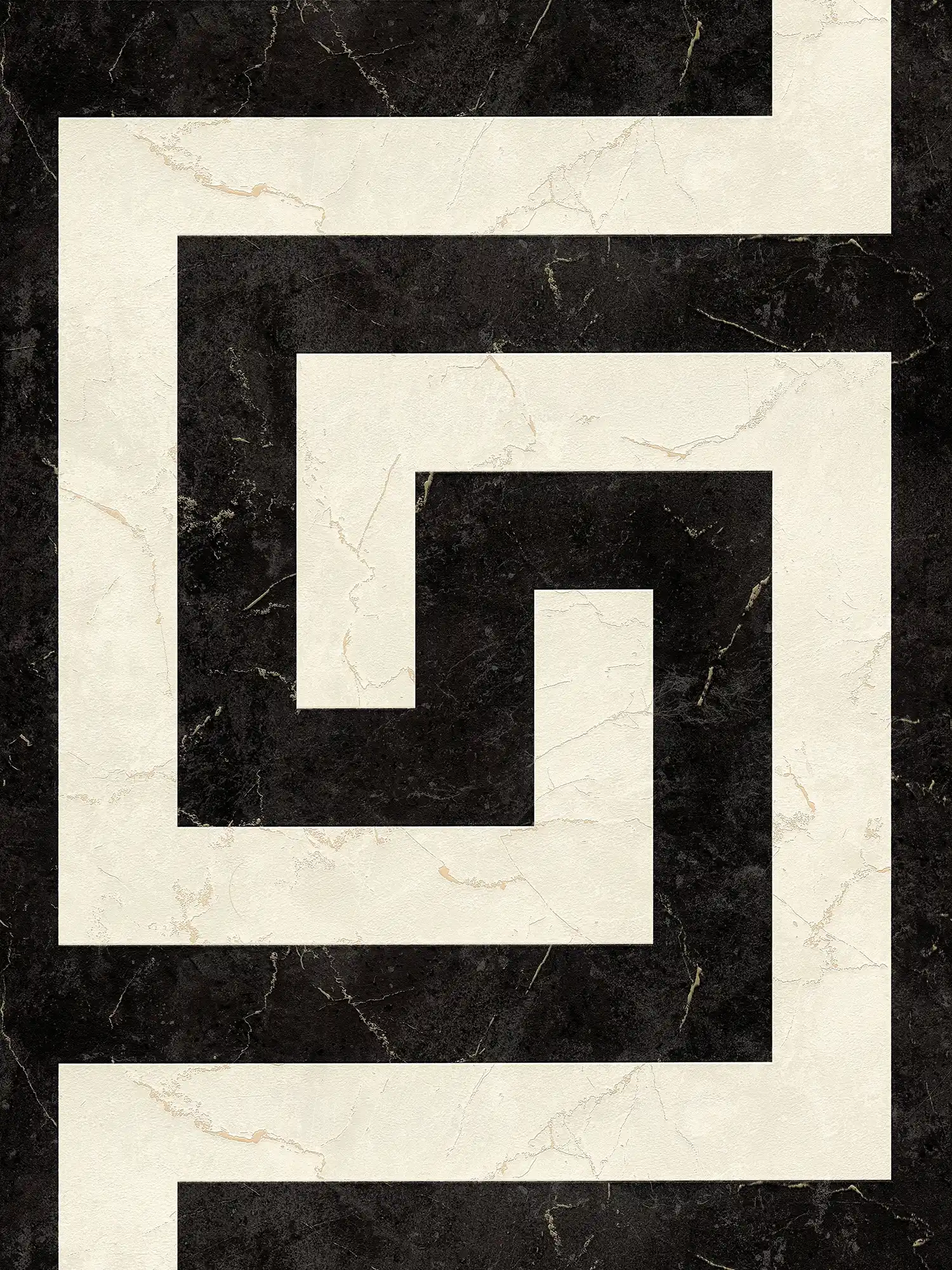         VERSACE non-woven wallpaper with marbled graphic design matt, partly glossy slightly textured - black, white, grey
    