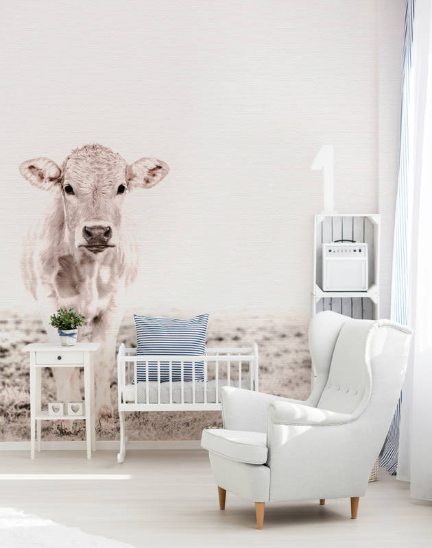 Kuh, Tierfotografie, Kinderzimmer, Kleinkindbett, Room decor
