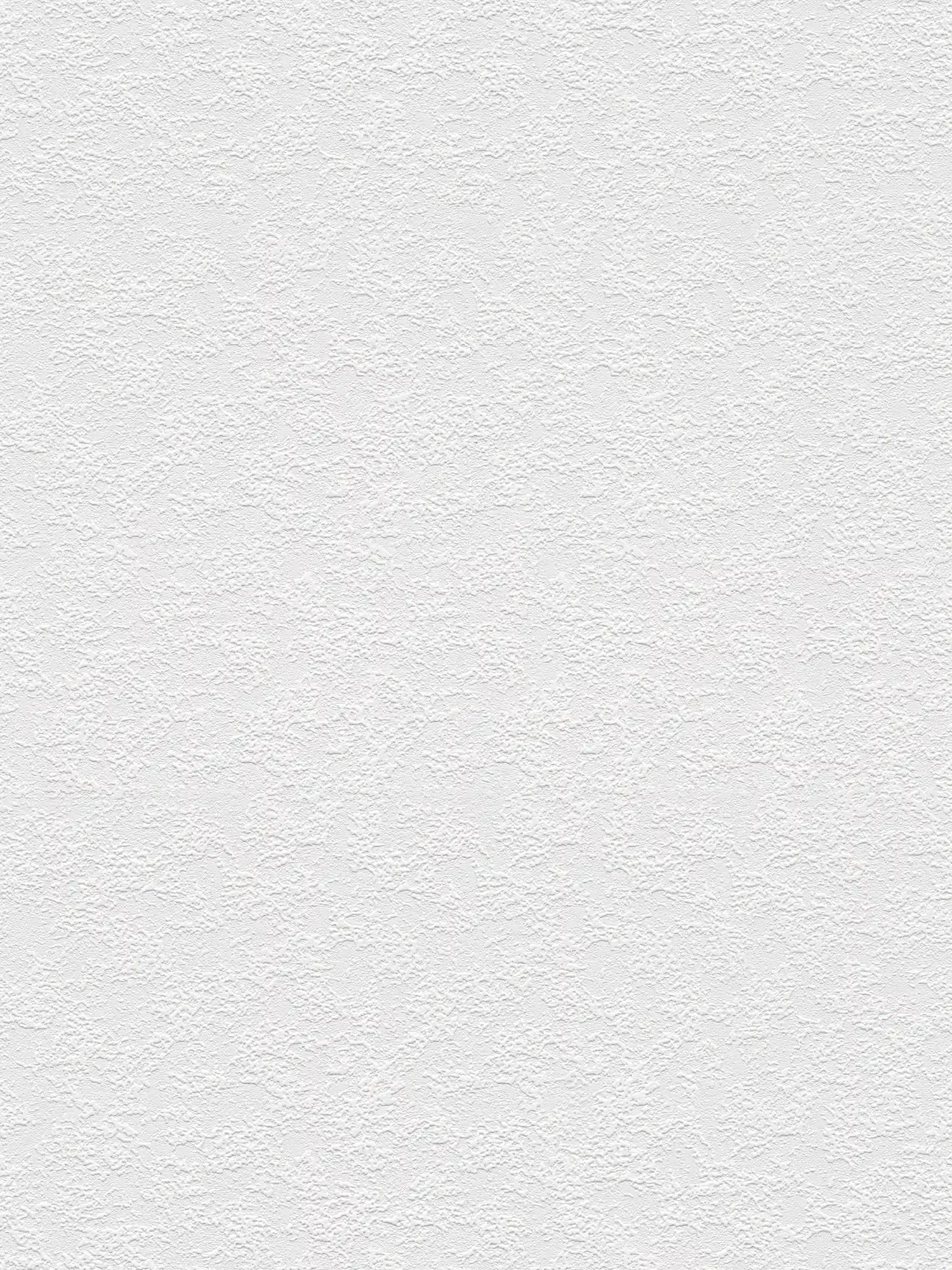         Papiertapete mit Schaumstruktur in Putzoptik – Weiß
    