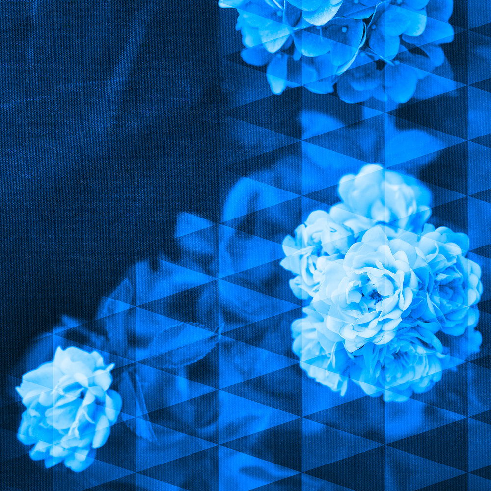             Florale Fototapete – Vliestapete mit kunstvoll angeordneten Blütenmustern – Blau, Schwarz
        