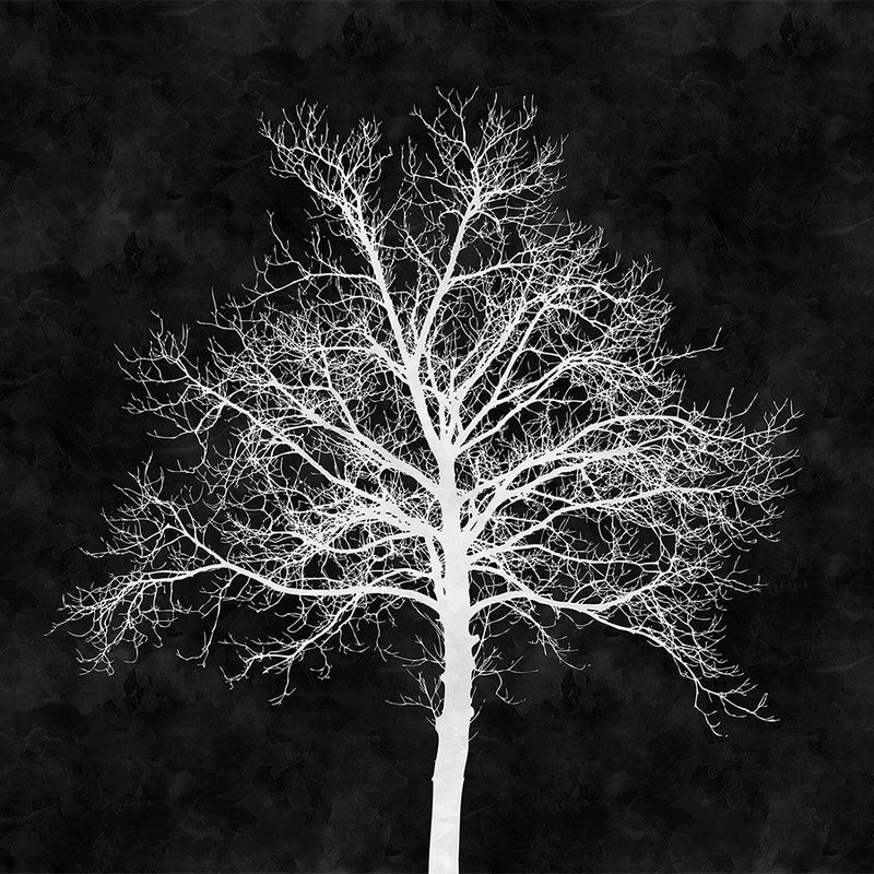         Black and white wall mural white tree - White, Black
    