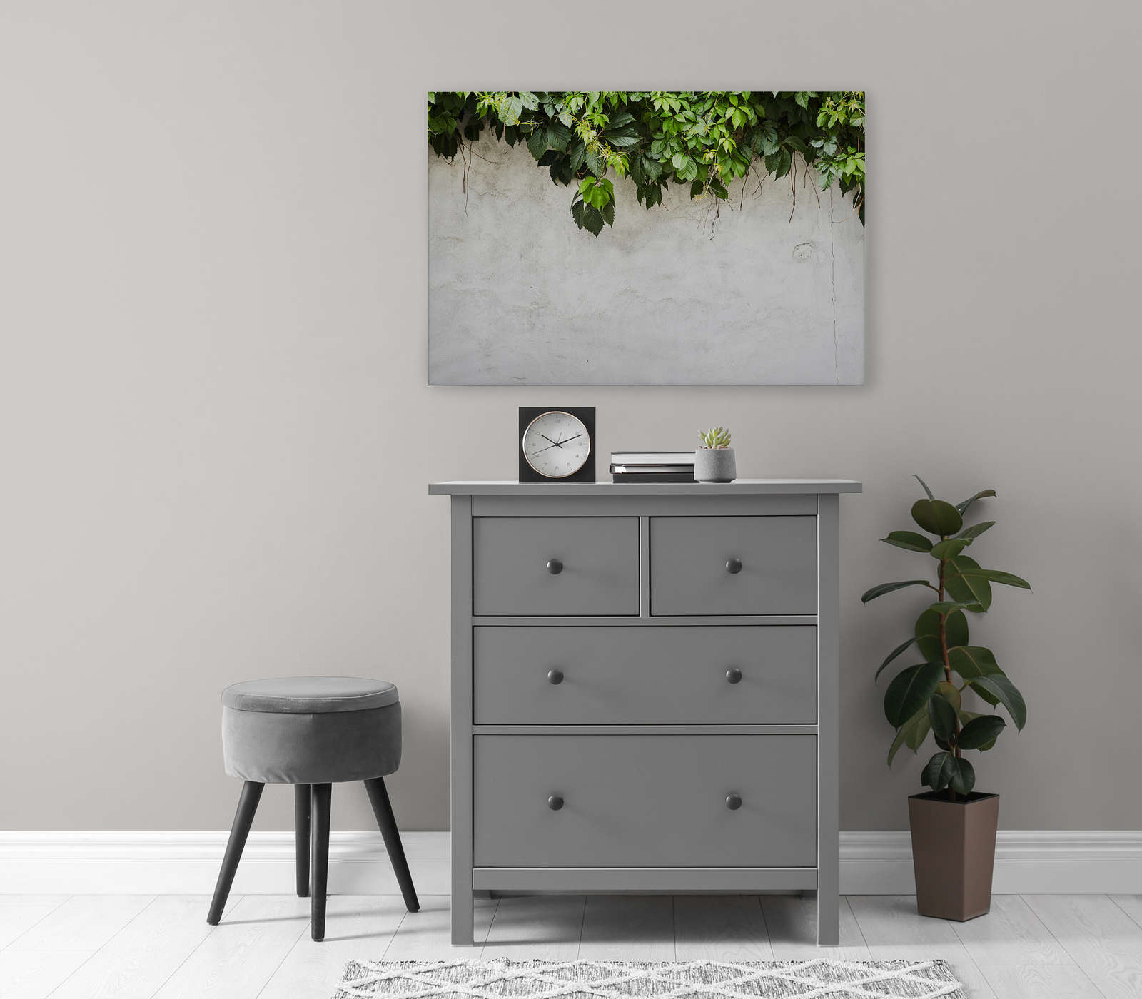             Leinwandbild Blätterranken vor Betonmauer – 0,90 m x 0,60 m
        