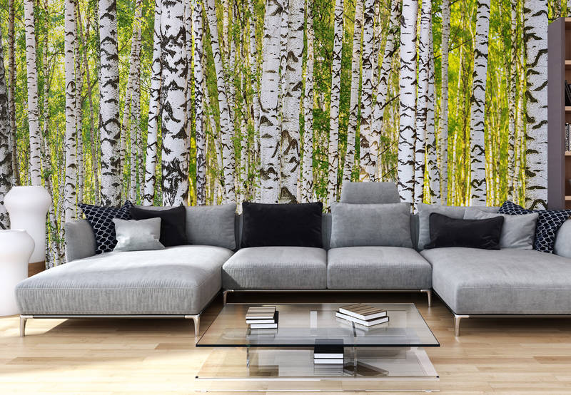 Sofa, Sektionssofa, Grau, Wohnzimmer-Dekor, Couch-L悩
