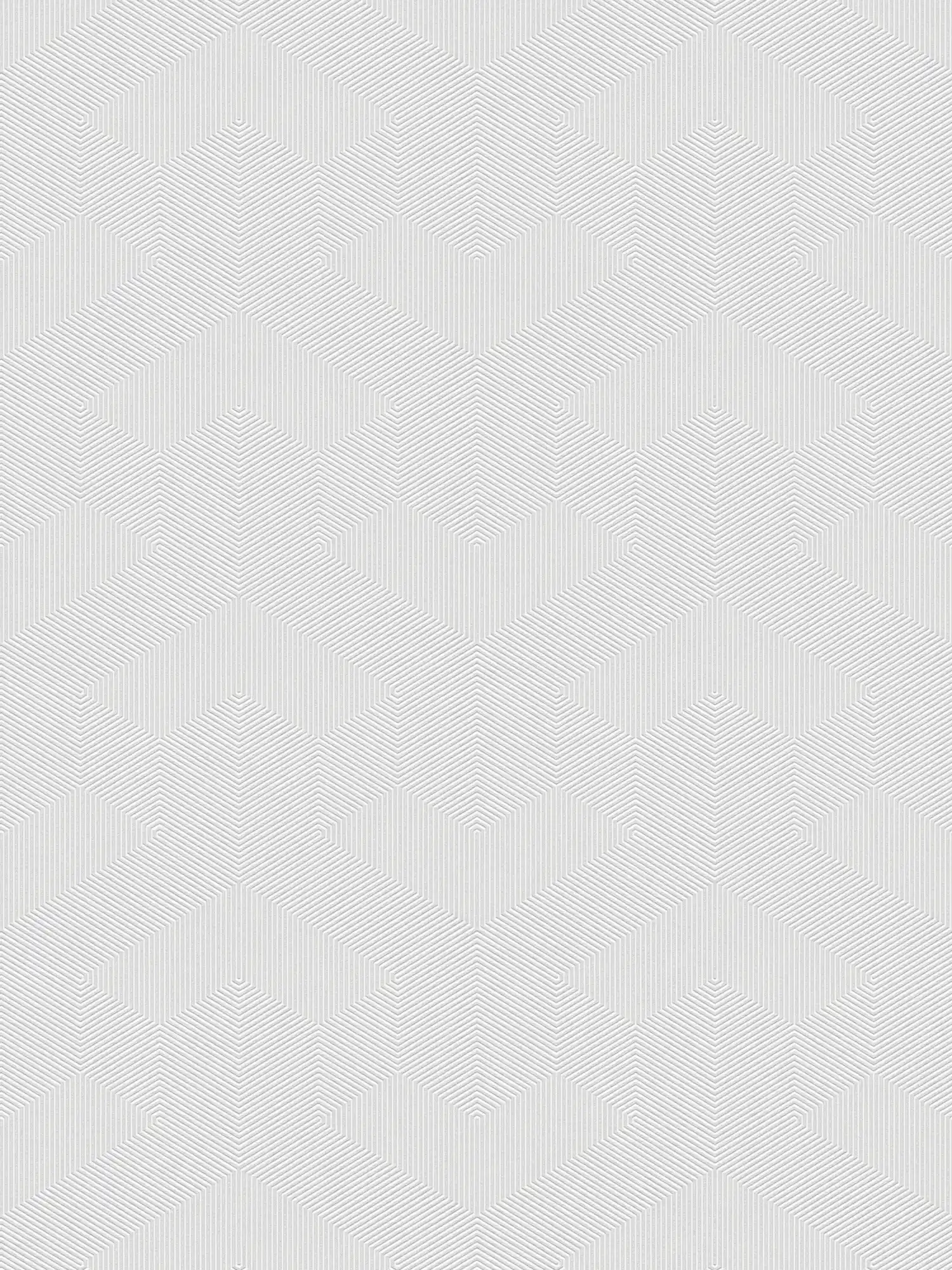         3D Grafisch behang met geometrisch patroon mat structuur - grijs, wit
    