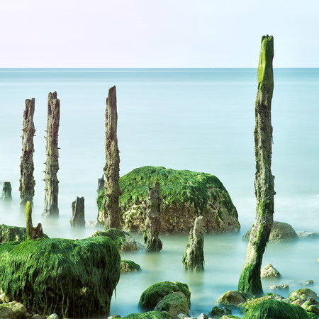 strand, felsformation, meer, algen, steine