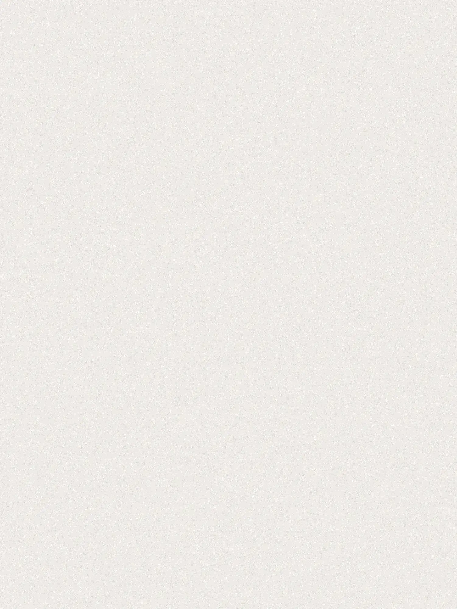         XXL non-woven wallpaper - "Das Uni" from wallpaper shop - 1.06m double width - single-coloured and subtly textured - vanilla
    