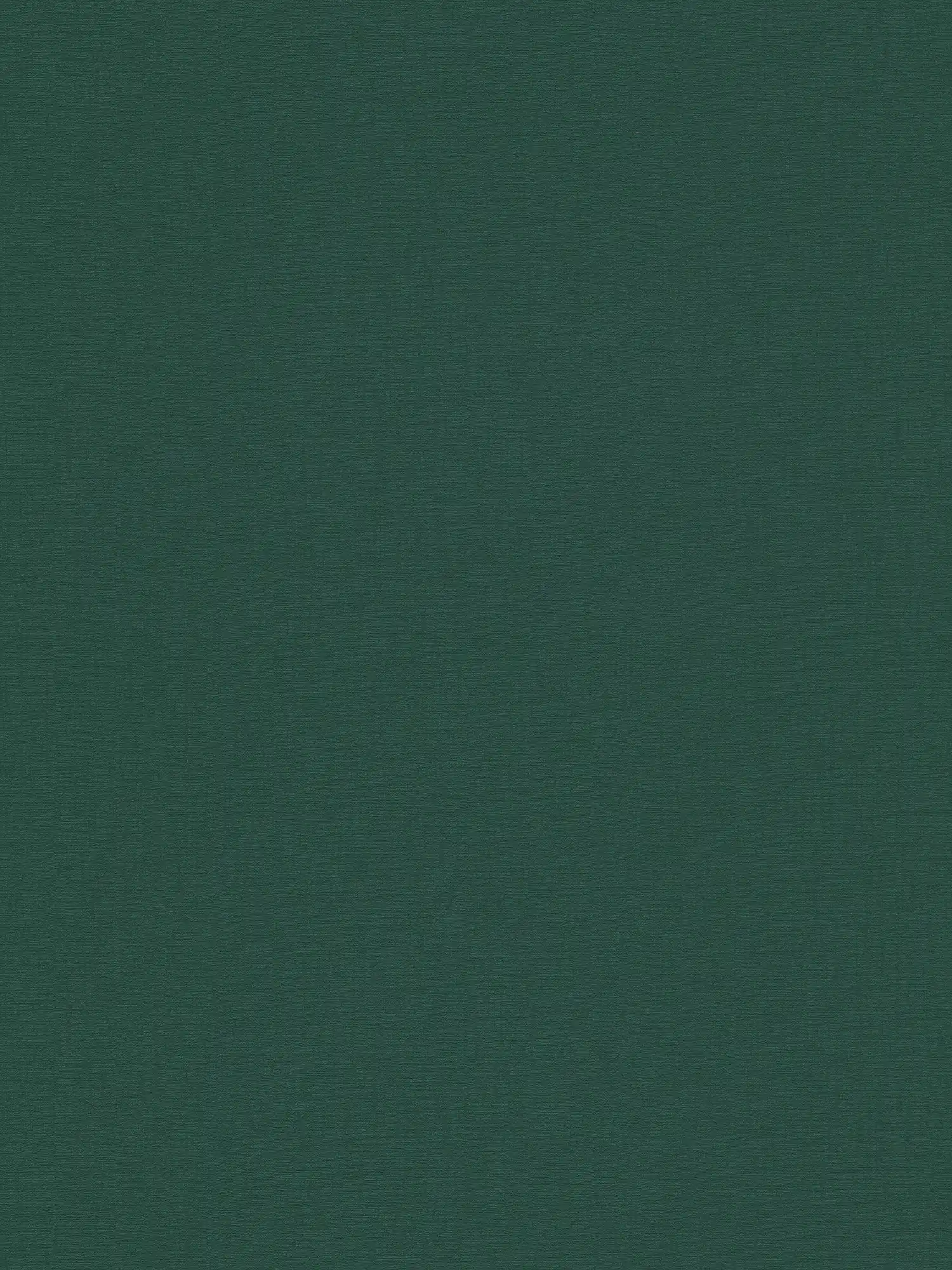         papier peint en papier intissés calme avec image tissée régulière légèrement structurée - vert, vert foncé
    