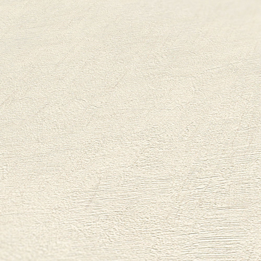             Vliestapete Creme mit Putzoptik von Daniel HECHTER
        