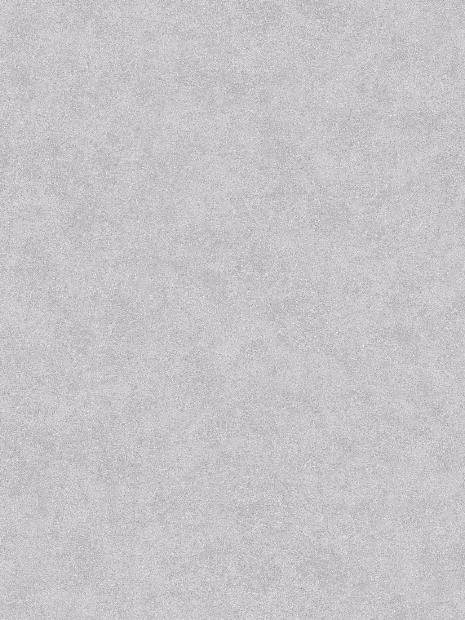         Vliestapete Beton-Grau matt mit Strukturprägung
    