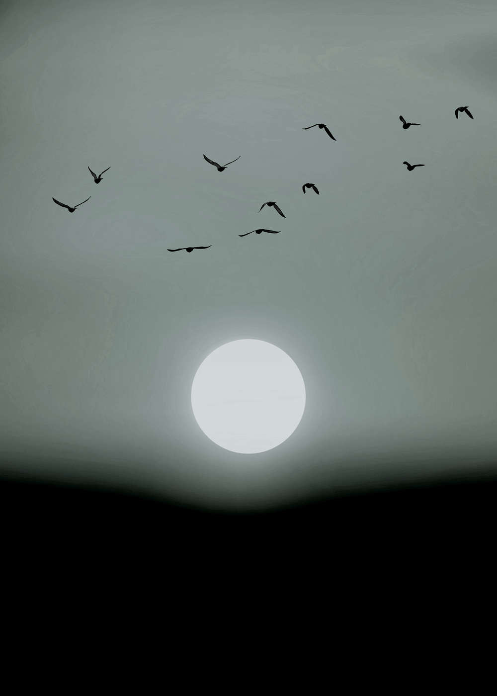             Sonnenuntergang Fototapete im winterlichen Schwarz-Weiß Look
        