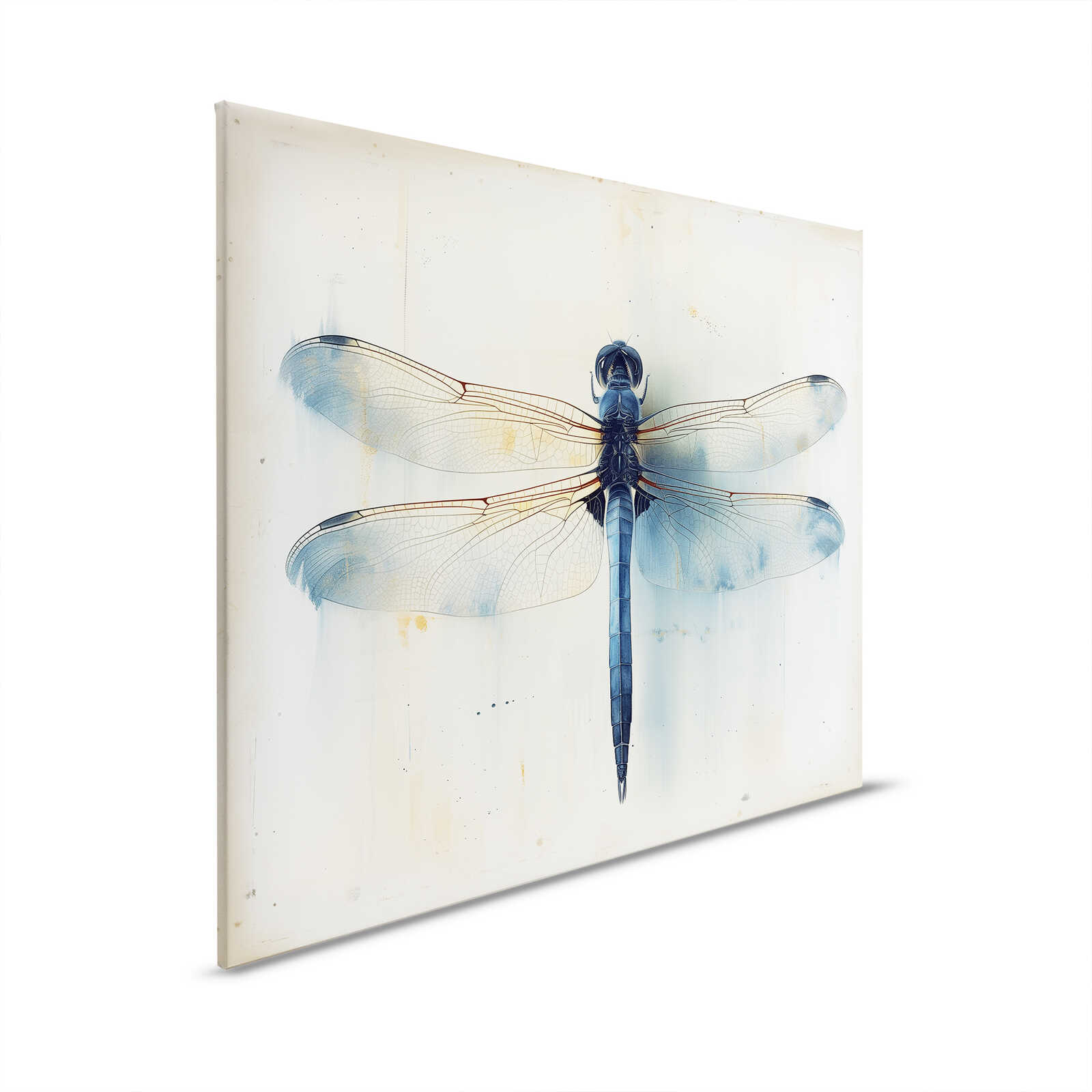         Tableau toile Majestueuse Libellule - Elégance détaillée - 50 x 40 cm - Beige, Bleu
    