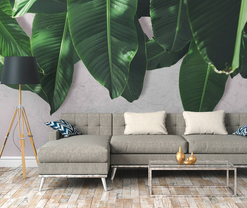             Palmblätter Fototapete Blätterwand – Grau, Grün
        