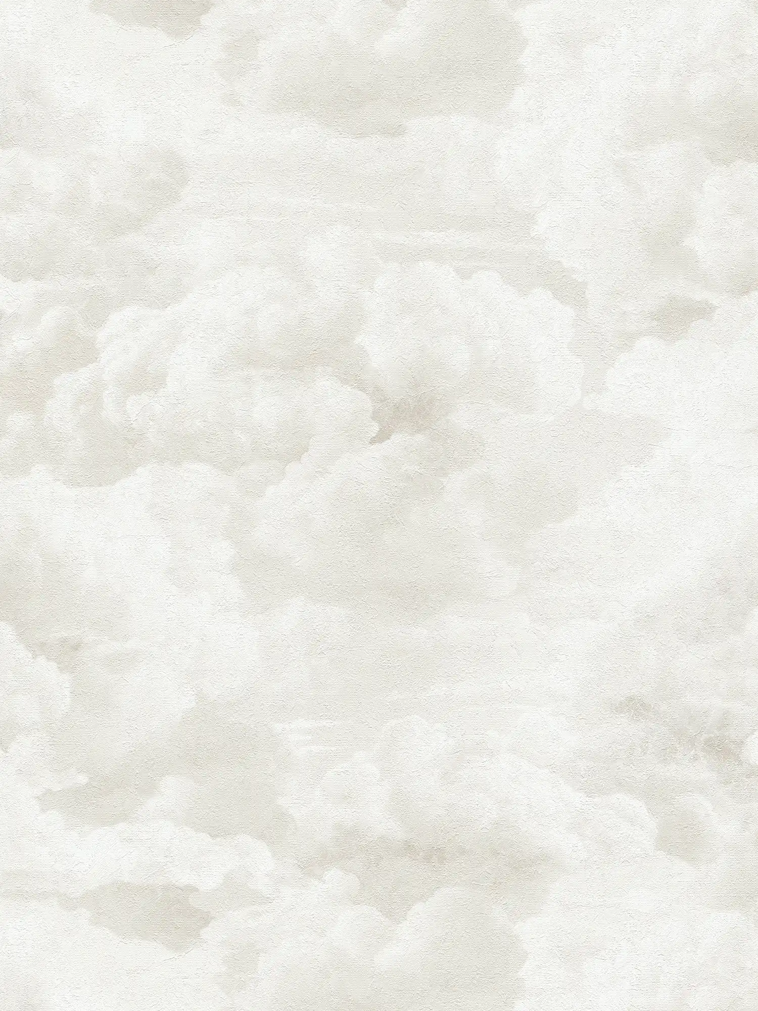 Abstraktes Wolkenmuster im Ölgemäldeoptik als Vliestapete von MICHALSKY – Creme, Weiß