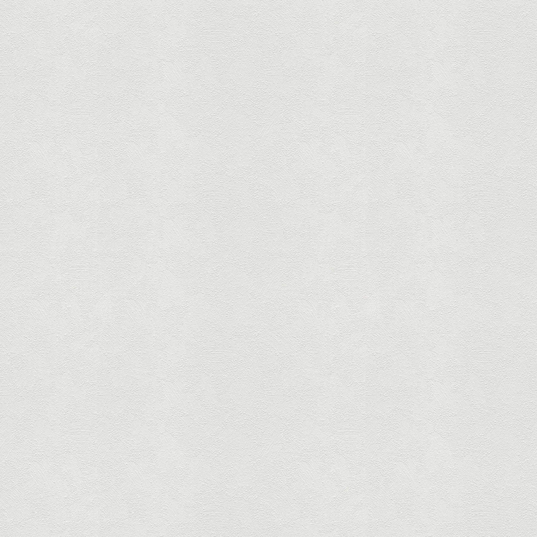         Gips optiek behang beschilderbaar vlies - 106cm breed
    