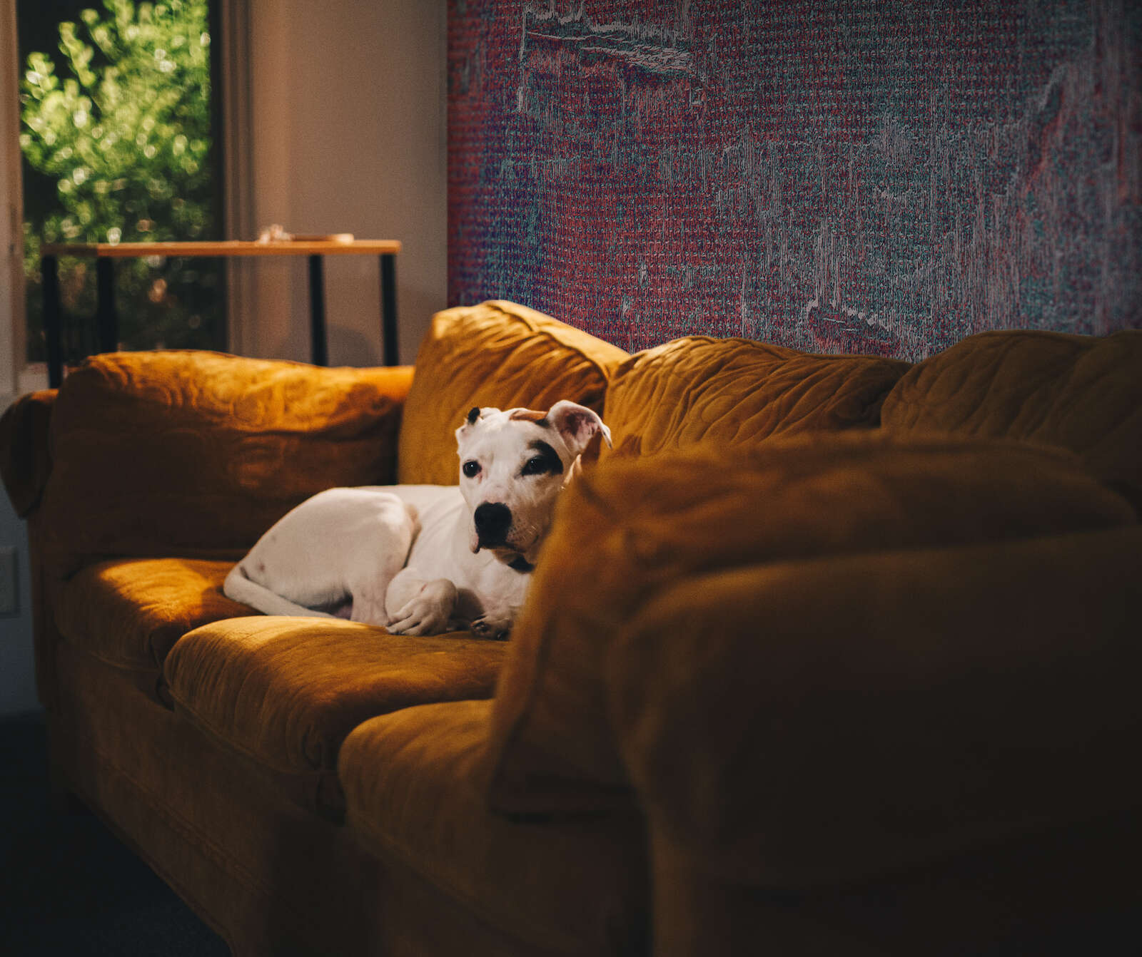             Fototapete 'Verwitterte Texturen' – Industrieller Charme, glatte Oberfläche – Lila
        